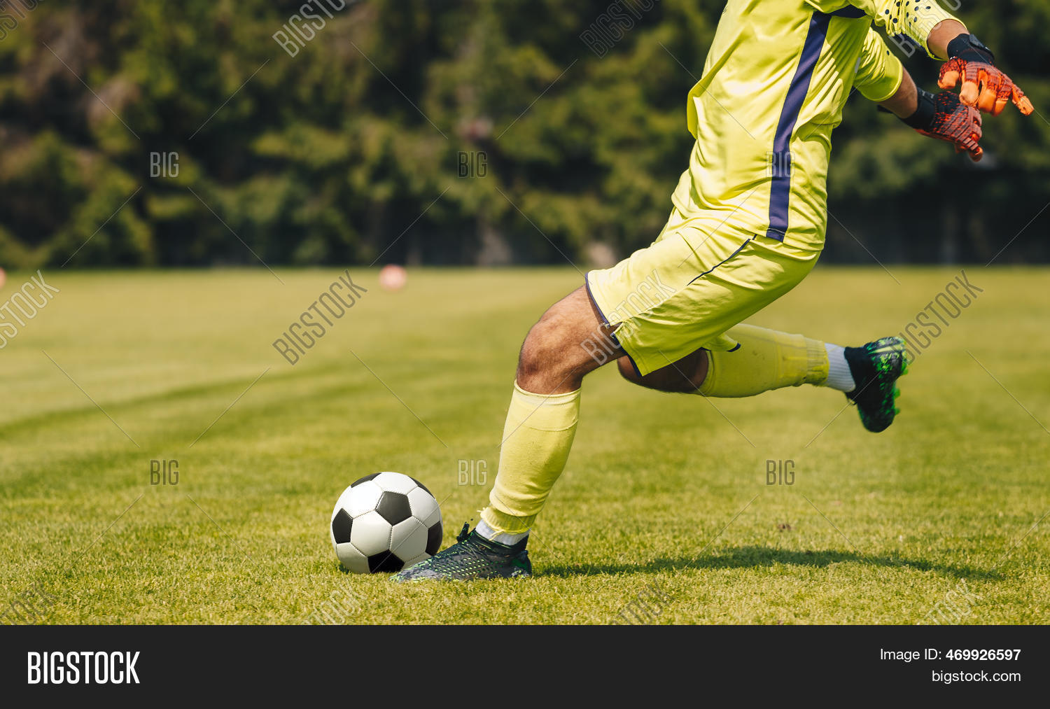 Goalie Kick On Pitch Image & Photo (Free Trial) Bigstock