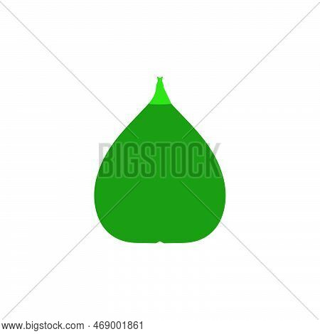 Fig Icon. Simple Style Fig Big Sale Poster Background Symbol. Fig Brand Logo Design Element. Fig T-s