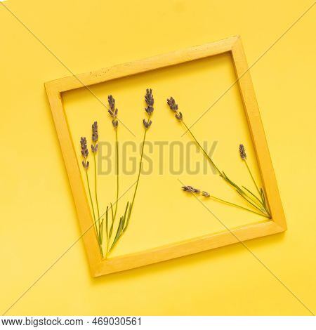 Lavender Flowers On Colored Background Top View. Copy Space