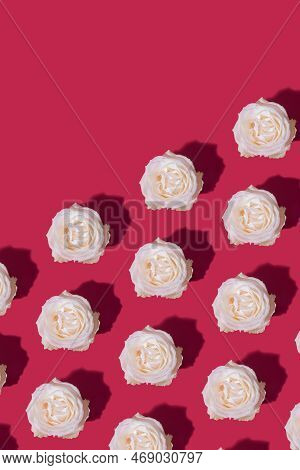 Rose Bud Pattern On Viva Magenta Color Background. Floral Vertical Background With Copy Space