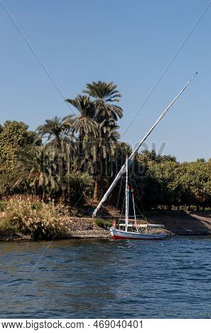 Vertical View Of Nile River Bank Landmark With Vegetation And A Faluca Boat Saling Around The Natura