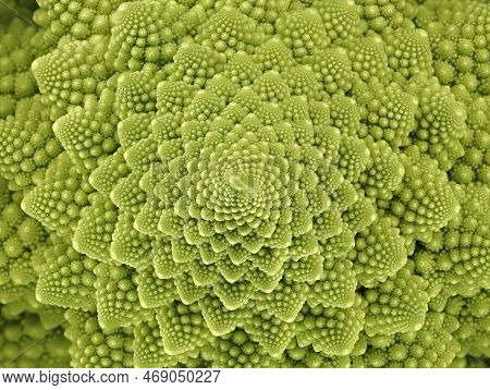 Top View Of A Fresh Green Romanesco Broccoli Cabbage, Abstract Looking Florets Of A Roman Cauliflowe