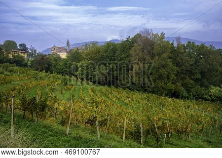 Natural Park Of Curone And Montevecchia, In Brianza