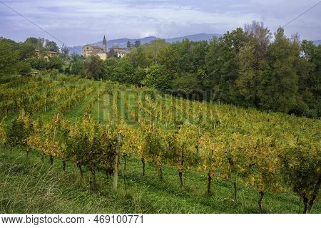 Natural Park Of Curone And Montevecchia, In Brianza