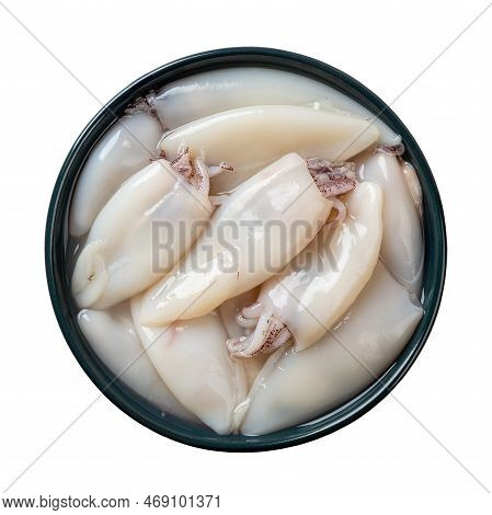 Fresh Squid Tubes In A Blue Bowl Cutout. Raw Calamary Fillet On A Plate Isolated On A White Backgrou
