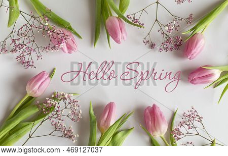 Tulips. Spring Background - Spring Composition Of Tulips And The Inscription Hello Spring On A White