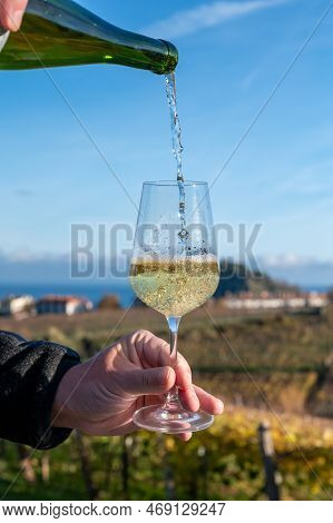 Pouring Of Txakoli Or Chacolí Slightly Sparkling Very Dry White Wine Produced In Spanish Basque Coun