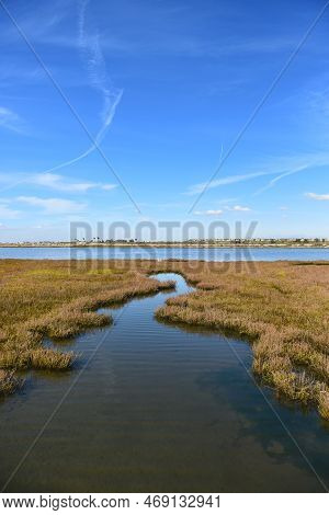 Marsh Grass At The Bolsa Chica Ecological Reserve Is The Largest Saltwater Marsh Along The Coast Of 