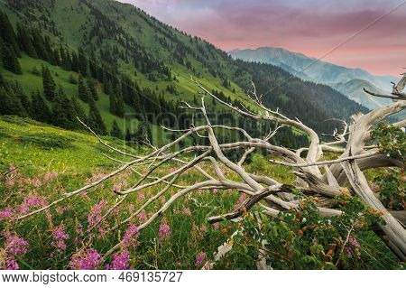 Picturesque Mountains Of Central Asia In The Tien Shan Mountain Range. Nature Of Kazakhstan In Almat