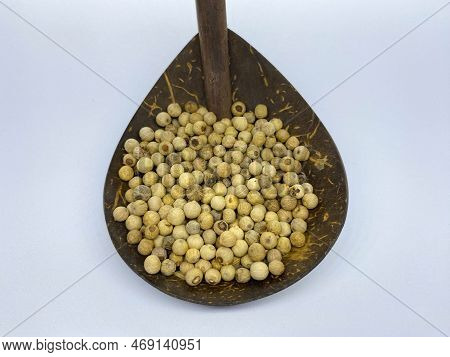 White Pepper In Indonesian Is Called Merica Isolated On White Background. White Pepper Is A Basic In