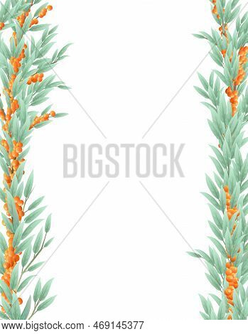 Branches Of A Sea Buckthorn Tree With Ripe Fruits In The Form Of A Frame On Both Sides. Garden Plant