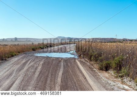 A Landscape, With A Gravel Road, Stream Crossing And Reeds, Between Loxton And Fraserburg In The Nor