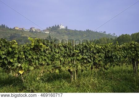 Natural Park Of Curone And Montevecchia, In Brianza