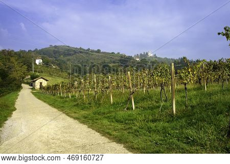 Natural Park Of Curone And Montevecchia, In Brianza