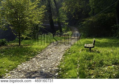 Path In The Park Of Lambro Valley, Brianza, Italy