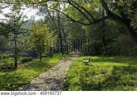 Path In The Park Of Lambro Valley, Brianza, Italy