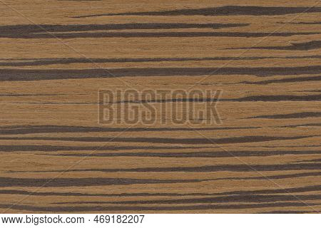 Zebra Tree. Texture Of Brown Wood With Horizontal Black Stripes. African Zebrano Wood Texture On Mac