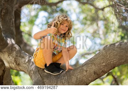 Child Hugging A Tree Branch. Little Boy Kid On A Tree Branch. Kid Climbs A Tree. Active Kid Playing 