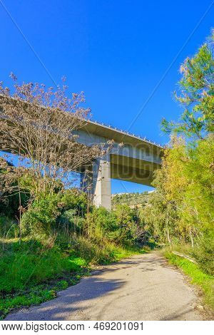 View Of A Footpath And An Overhead Highway, In The Nahal Giborim (wadi Rushmiya) Valley, Haifa, Isra
