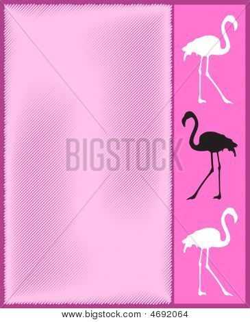粉红色的火烈鸟卡