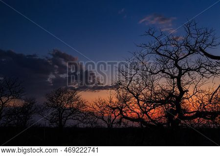 Sunset Over The Etosha National Park In Namibia. African Landscape. South Africa.