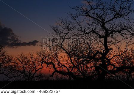 Sunset Over The Etosha National Park In Namibia. African Landscape. South Africa.