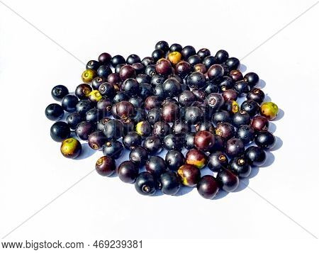 Jakal Jujube Berries On White Background. Center Focused.