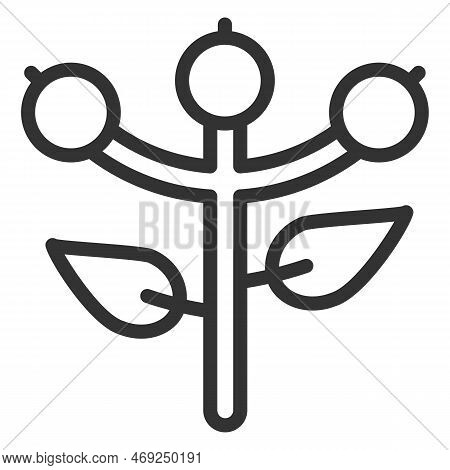 Cranberry - Icon, Illustration On White Background, Outline Style