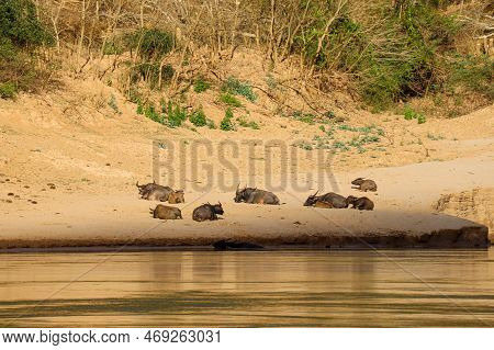 Impressions Of Laos In South East Asia
