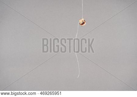 Real Human Teeth Hang On Threads Isolated On A Gray Background. Pulled Out Tooth. Subject Photo. Den
