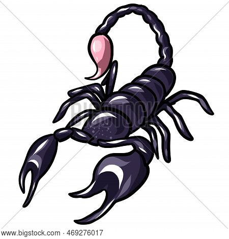 Black Scorpion. Vector Illustration Of A Scorpion Eps10
