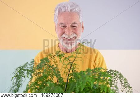 Portrait Of Attractive Senior White Haired Man Against Colored Background Holding A Fern Plant. Smil