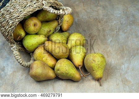 Pears In Basket On A Wooden Background. Fruit Harvest. Autumn Still Life. Pear Variety Bera Conferen