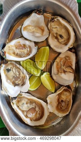 Delicious Dish Of Fresh And Raw Oysters With Lemon