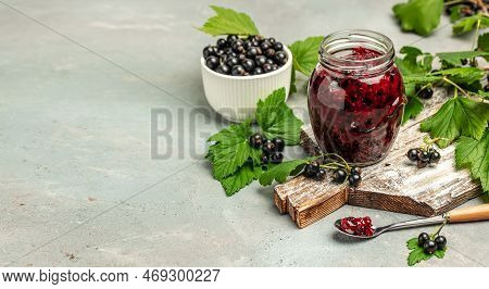 Delicious Black Currant Jam Urd, Custard Or Jam And Fresh Berries, Long Banner Format, Top View.