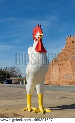 Shreveport, Louisiana - January 14, 2022: A Fiberglass Rooster Standing In The Vacant Lot Of Shrevep