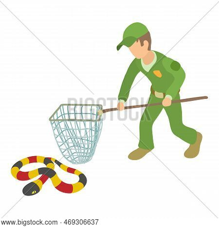 Coral Snake Icon Isometric Vector. Young Man With Landing Net Near Milk Snake. Reptile Capture, Herp