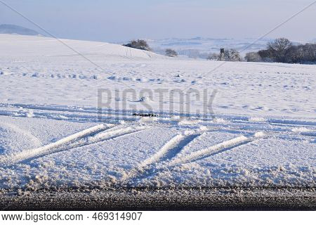 Fresh Tire Tracks In Deep Fresh Snow