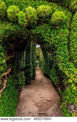 Tulcan, Ecuador - October 8, 2022: Cemetery With Green Sculptures Made Of Plants