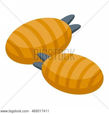 Pest Bug Disease Icon Isometric Vector. Fly Tsetse. House Biology