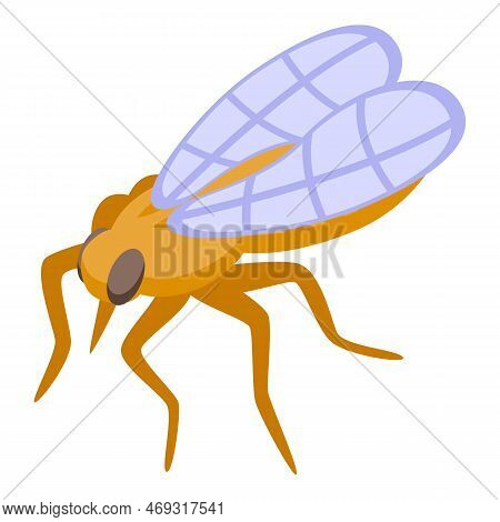 House Tsetse Icon Isometric Vector. Fly Insect. Pest Biology