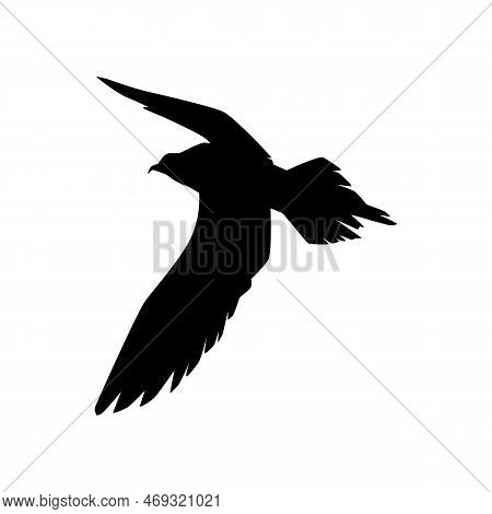Flying Arctic Skua, Black Silhouette - Flat Vector Illustration Isolated On White Background.