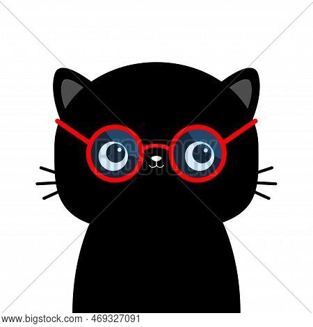 Black Cat Wearing Red Round Shape Sunglasses Eyeglasses. Funny Sunglass. Blue Lenses, Red Frame. Cut