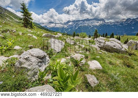 Beautiful Nature. Mountain Hiking Trail Road. Italy Malga Montasio Forca Disteis
