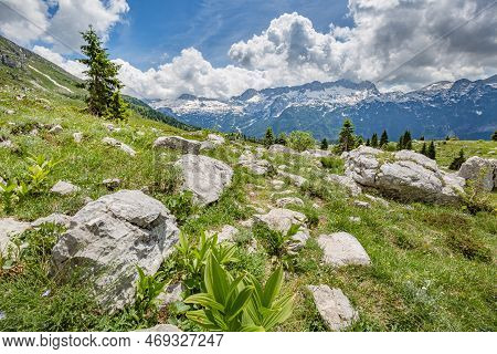 Beautiful Nature. Mountain Hiking Trail Road. Italy Malga Montasio Forca Disteis
