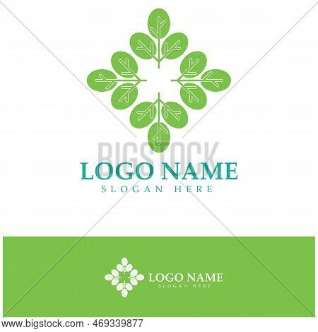 Green Moringa Leaf Logo, For Herbal Ingredients, Moringa Farming, Health, Medicine Industry, Beauty,