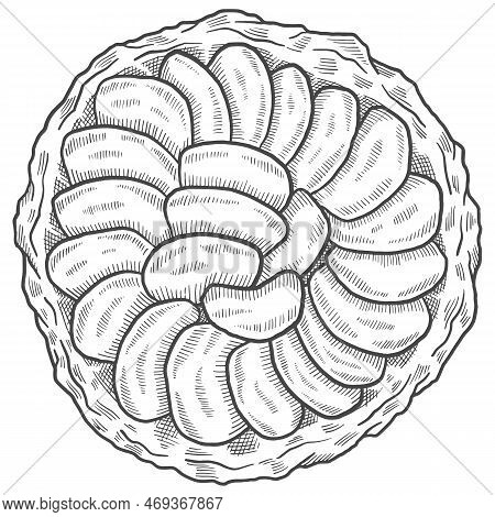 Tarte Tatin France Dessert Snack Isolated Doodle Hand Drawn Sketch With Outline Style Vector Illustr