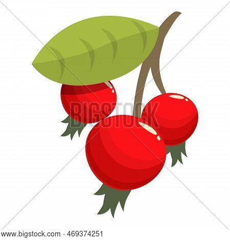 Red Rosehip Icon Cartoon Vector. Food Berry. Vitamin Ripe