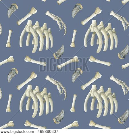 Watercolor Paleontologic Seamless Pattern With Dinosaurs Bones, Tyrannosaurus Ribs And Theeth On Blu