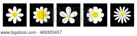 White Camomile Icon. Daisy Chamomile Set. Cute Flower Plant. Love Card. Cartoon Kawaii Funny Collect